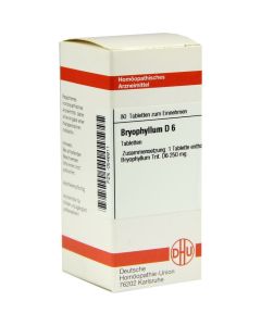 BRYOPHYLLUM D 6 Tabletten