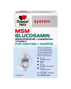 DOPPELHERZ MSM Glucosamin system Kapseln