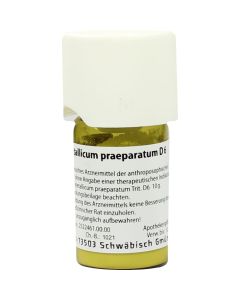 FERRUM METALLICUM PRAEPARATUM D 6 Trituration