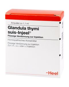 GLANDULA THYMI suis Injeel Ampullen