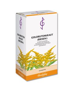 GOLDRUTENKRAUT Riesen Tee