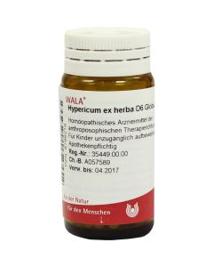 HYPERICUM EX Herba D 6 Globuli