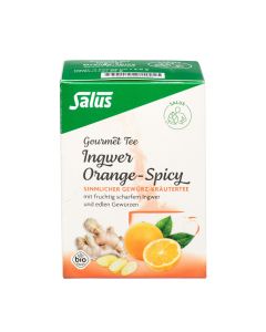 INGWER ORANGE Spicy Tee Salus Filterbeutel