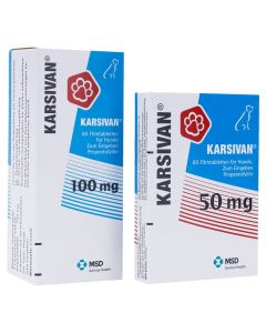 KARSIVAN 100 Filmtabletten f.Hunde