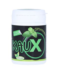 KAUX Zahnpflegekaugummi Spearmint mit Xylitol