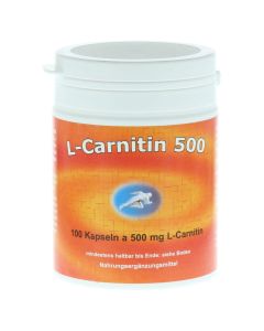 L-CARNITIN KAPSELN 500 mg-100 St