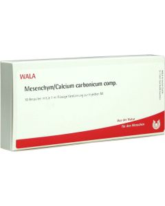 MESENCHYM/CALCIUM carbonicum comp.Ampullen