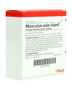 MUSCULUS SUIS Injeel Ampullen