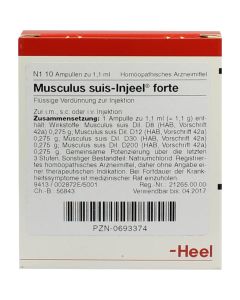 MUSCULUS SUIS Injeel forte Ampullen