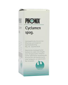 PHÖNIX CYCLAMEN spag.Mischung