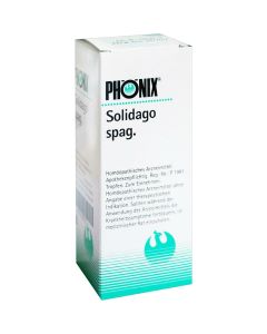 PHÖNIX SOLIDAGO spag.Mischung