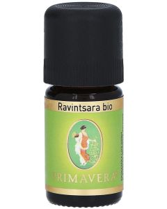 RAVINTSARA Bio ätherisches Öl