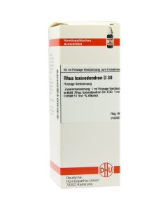 RHUS TOXICODENDRON D 30 Dilution