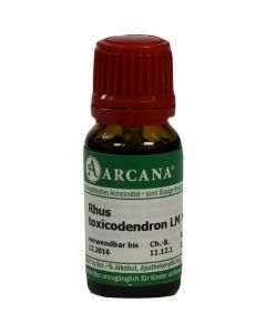 RHUS TOXICODENDRON LM 6 Dilution