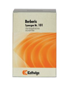 SYNERGON KOMPLEX 101 Berberis Tabletten