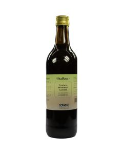 TROCKENPFLAUMEN Saft Vitalhaus