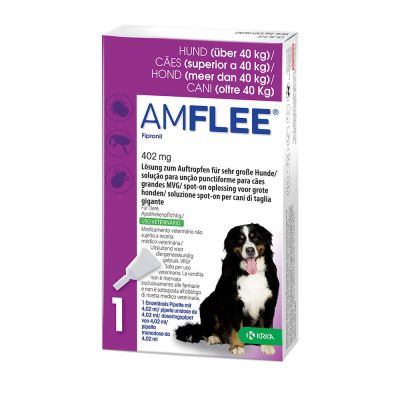 Amflee 402 mg Lösung zum Auftropfen für sehr große Hunde