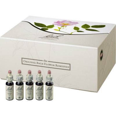 BACHBLÜTEN 10 ml Set Tropfen