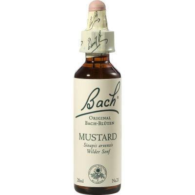 Bach-Blüte Mustard