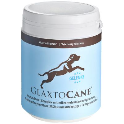 GlaxtoCane