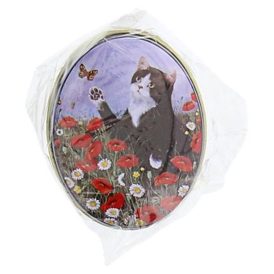 PILLENDOSE oval Katzen Motiv