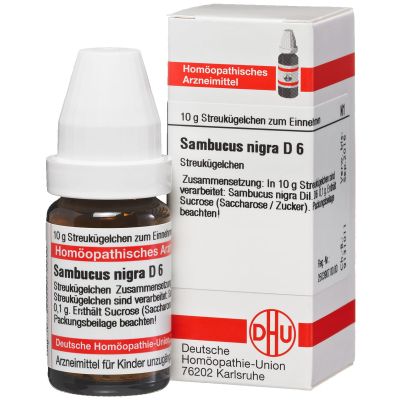 SAMBUCUS NIGRA D 6