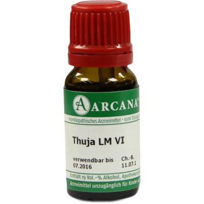 THUJA ARCA LM 06