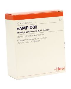 CAMP D 30 Ampullen